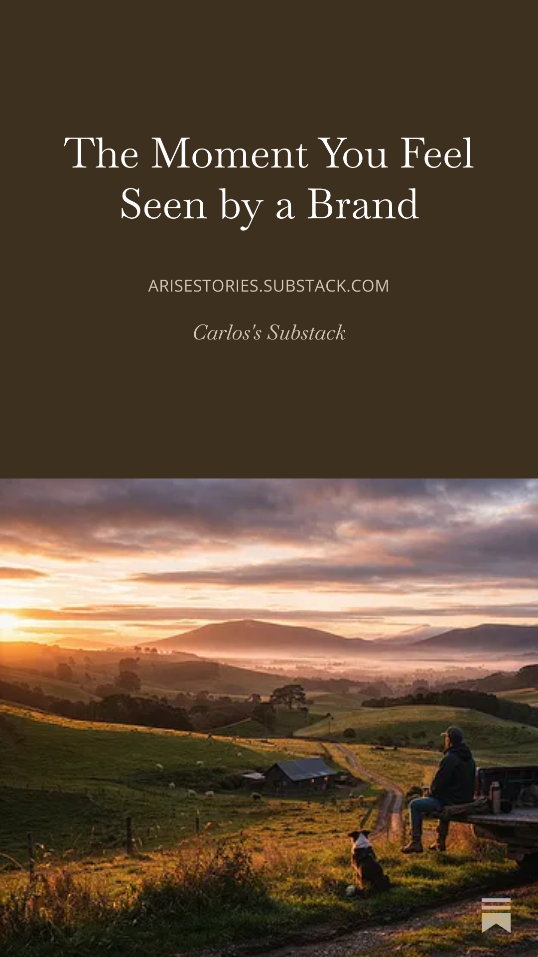 New Zealand rural landscape at sunset