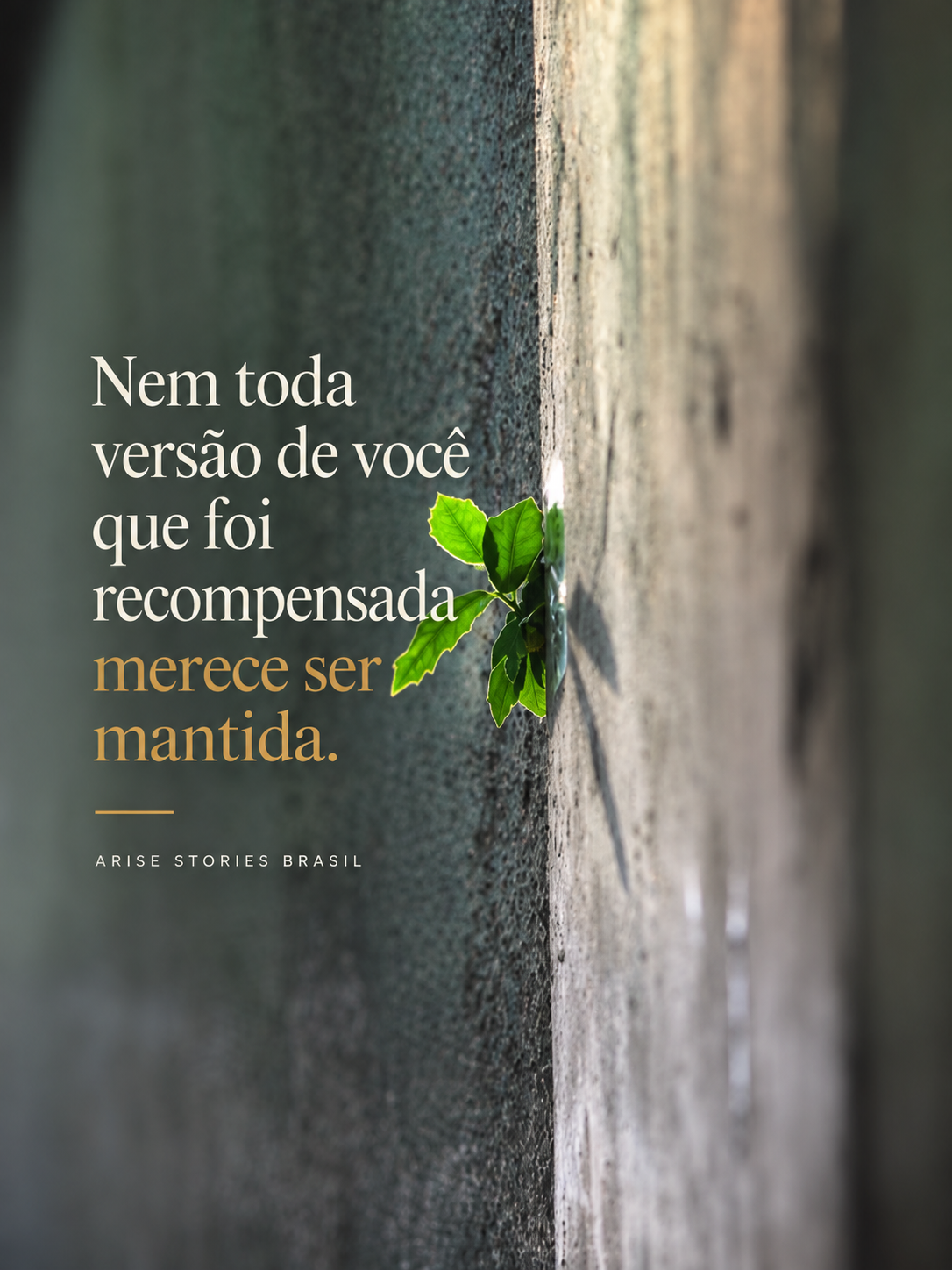 Frases de Reflexão – IDENTIDADE