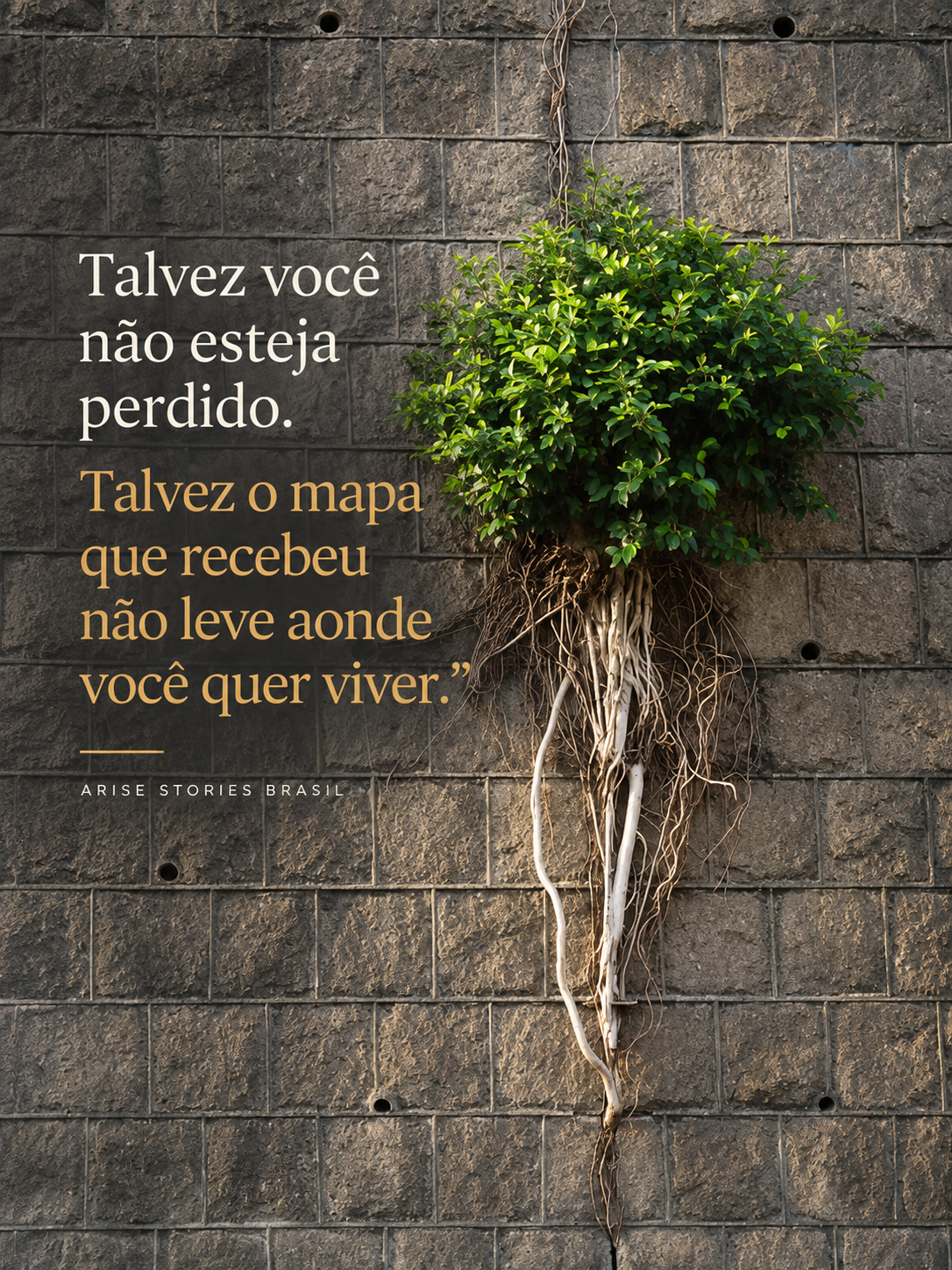 Frases de Reflexão – Mudança